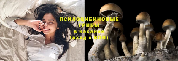 тгк Навашино