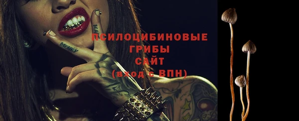 тгк Навашино