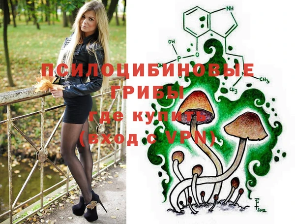 винт Нея
