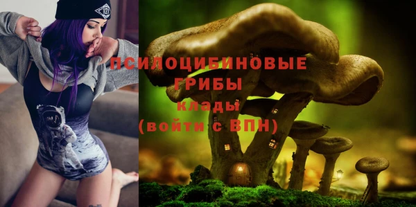 винт Нея